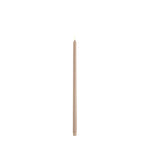 LED Tall Taper Candle, Bege, Lisa, 2x55 cm
